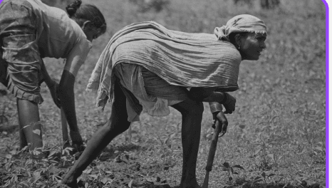 The People’s Archive of Rural India testing