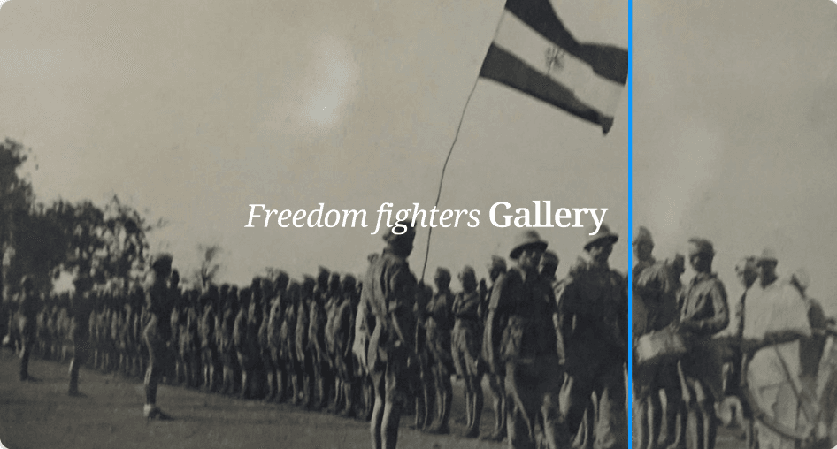 Freedom Fighters  Gallery