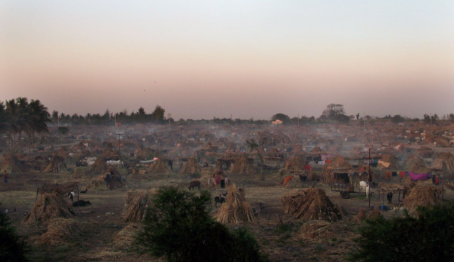 the-sugarcane-cutters-bitter-harvest